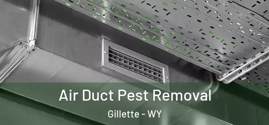  Air Duct Pest Removal Gillette - WY