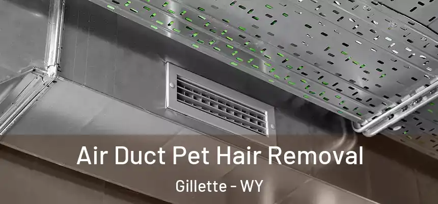 Air Duct Pet Hair Removal Gillette - WY