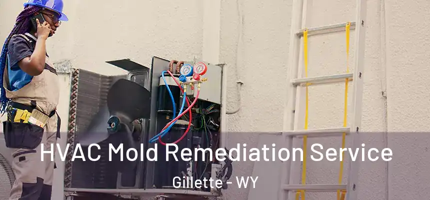 HVAC Mold Remediation Service Gillette - WY