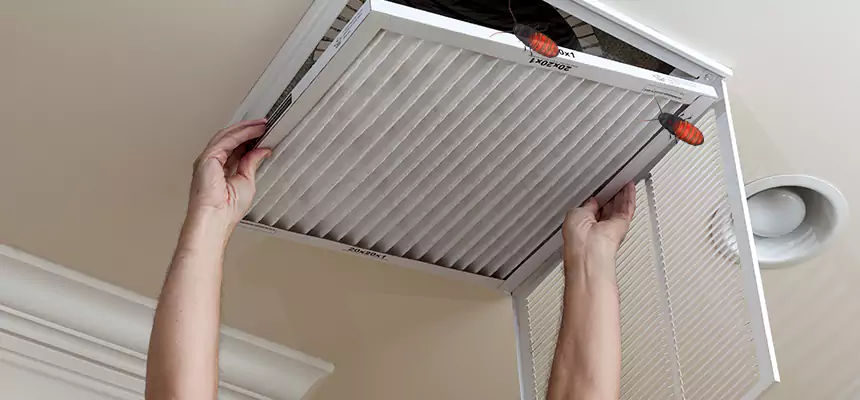 Preventive Cockroach-Proofing for Ducts in Gillette