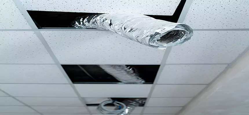 Our Air Duct Pet Hair Removal Services in Gillette, WY