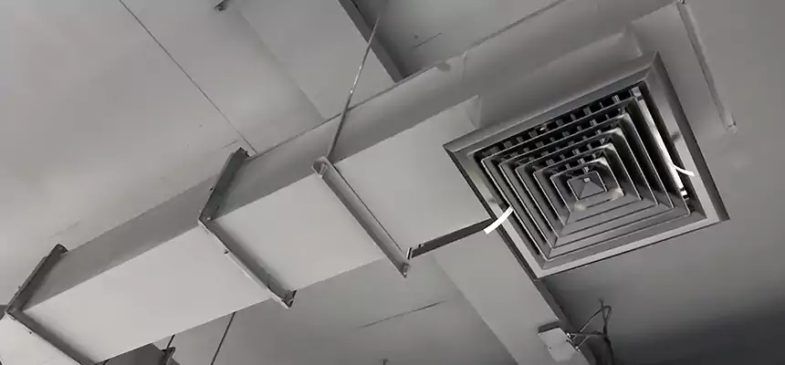 Our Rodent Droppings In Vents Services in Gillette, WY