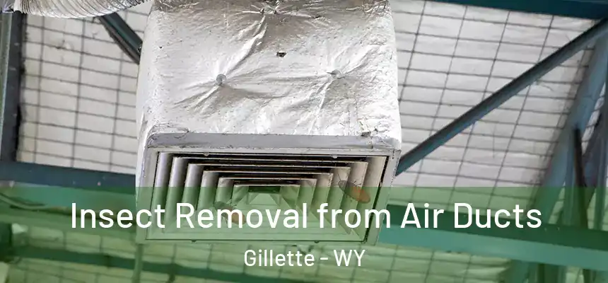  Insect Removal from Air Ducts Gillette - WY