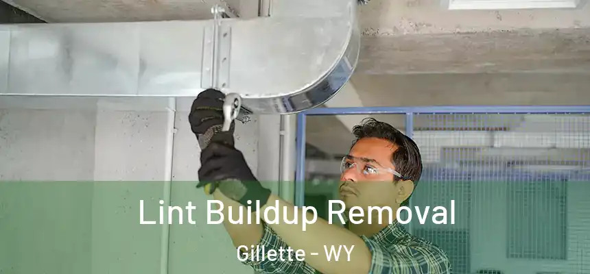  Lint Buildup Removal Gillette - WY