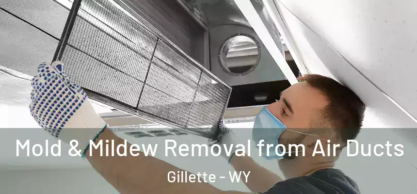  Mold & Mildew Removal from Air Ducts Gillette - WY