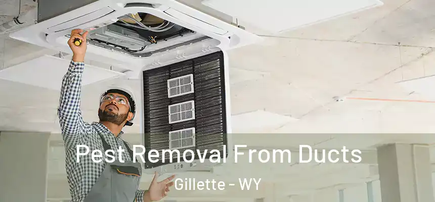  Pest Removal From Ducts Gillette - WY