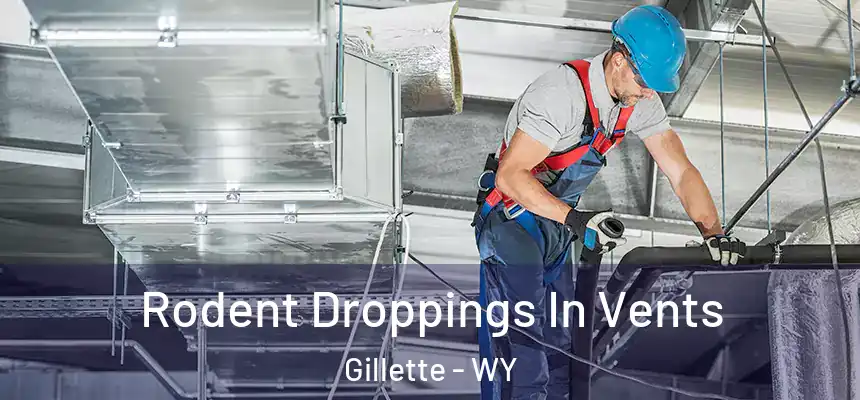  Rodent Droppings In Vents Gillette - WY