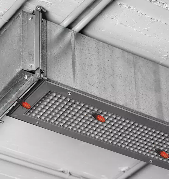 About Air Duct Cockroach Removal in Gillette, WY