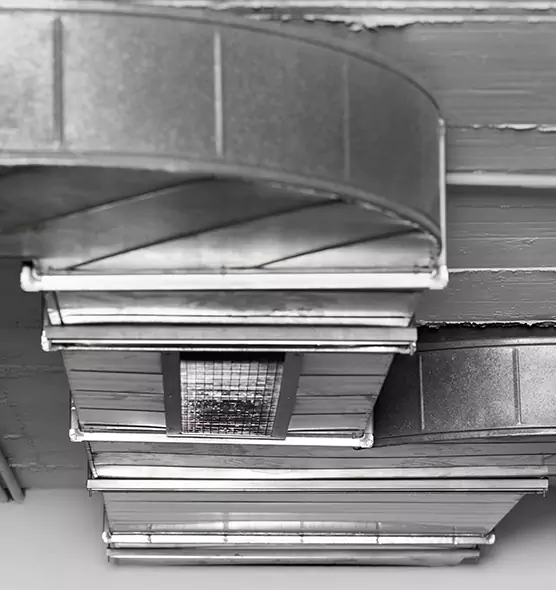 Professional Air Duct Pet Hair Removal in Gillette, WY